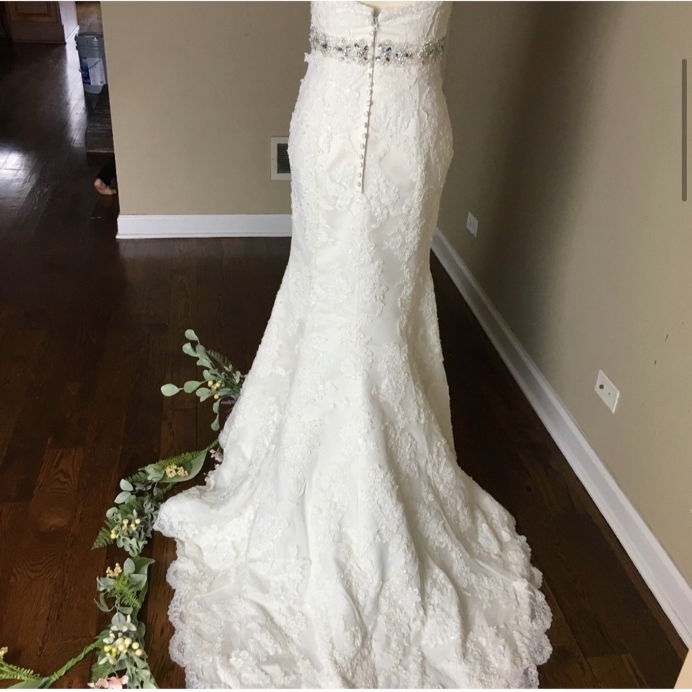 Gorgeous Wedding Dress - Picture 4 of 5